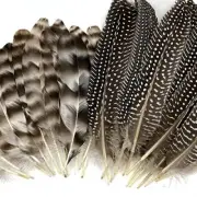 30 Pcs Natural Pheasant Feathers for DIY Craft 15-22cm Assorted brown and white