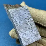 86.8gm Aletai iron meteorite slab fusion crust SH0891