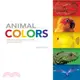 Animal Colors ─ A Rainbow of Colors from Animals Around the World