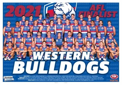 Western bulldogs team poster, AFL football, Carlton blues ,pies,dogs,crows book