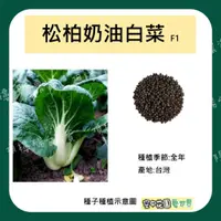 在飛比找蝦皮購物優惠-【台灣出貨 電子發票】松柏奶油白菜種子1.5g(約600顆)