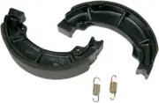 SBS Brake Shoes w/Springs (2019)