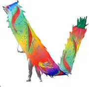 Ribbon Streamer 3D Colorful Dragon Silk Flowy Spinning & Shaking Poi Kungfu Dragon Dance Silk Poi for Playing/Work Out Parent-Child Game Project Outdoor Park