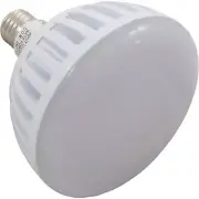 Repl Bulb, J&J Electronics ColorSplash LXG Pool Light, 115v