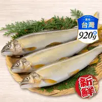 在飛比找生活市集優惠-【三頓飯】宜蘭鮮凍大香魚920g