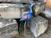 Country Rustic 33" Tall Blue Pink and Green Metal Peacock Yard Art Farm Garden