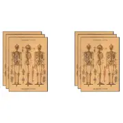 6x Cavallini Paper Poster Prints/Gift Wrap Wall Art Decor 50x70cm Skeleton