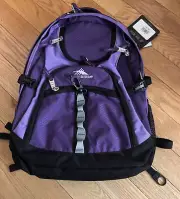 High Sierra Purple Access Laptop Tech Backpack