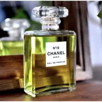 在飛比找蝦皮購物優惠-CHANEL 香奈兒 N°19 淡香水香水50ml