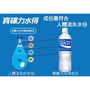 寶礦力水得電解質補給飲料580ml (24入)x2箱【康鄰超市】