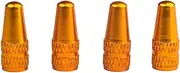 , Tire Caps - Dust Caps Tire, Stem for Mountain Road