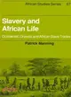 Slavery and African Life―Occidental, Oriental, and African Slave Trades