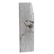 110g Muonionalusta meteorite slice TC473