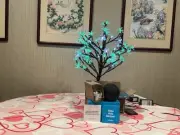 Amazon Alexa Dot. New.