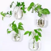 Glass Wall Vase Planters Propagation Station Geometric Octagon Polygon 4P