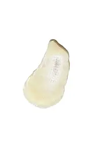[Sidia] Wired Body Exfoliant