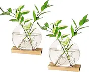 Plant Propagation Stations Terrarium with Wooden Stand-Desktop Glass Bulb Plant Vase for Propagating Hydroponic Plants Home Garden Office Decor (Style 6)