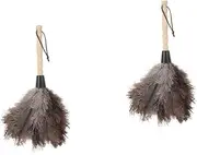 SAFIGLE 2pcs Feathered Duster with Wooden Handle Reusable Household Brush for Easy Dust Removal for Home Office Kitchen Car Cleaning Ergonomic Design for Comfort