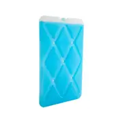 Esky Large Slim Ice Brick
