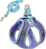 Ronyme Pet Harness and Leash Combo for Cats, Adjustable Vest for Kittens, Secure Walking Gear, Blue, M