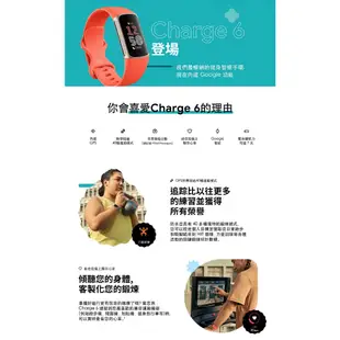 新上市 現貨 Fitbit CHARGE 6 健康智慧手環 運動手錶 公司貨 GPS 血氧 音樂播放