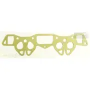 Platinum Extractor Gasket - HSM15