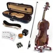 SKY AAA+ Maple 4/4 Size VN515 Violin Grand Master Series Professional Fiddle NEW