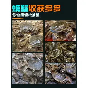 威拓森 釣螃蟹神器抓蟹籠子海用釣蠏海釣鉤大閘蟹自動捕蟹桿工具