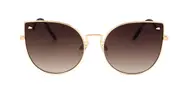 Ana Hickmann HI3063 04C Men's Sunglasses Gold Size 57