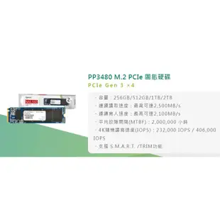 Apacer 宇瞻 PP3480 M.2 PCIe 512GB Gen3x4 NAS 固態硬碟