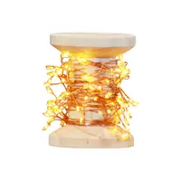 在飛比找PChome24h購物優惠-【YU Living】LED 裝飾燈串捲 季節裝飾燈串 長4