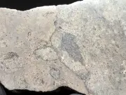 JIKHARRA 001 (137g) Polished Meteorite Slice, Eucrite Melt Breccia