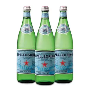 S.Pellegrino 義大利 聖沛黎洛 氣泡天然礦泉水 2箱(750mlx12瓶/箱*2箱)