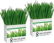 Cozioz Soilless Cat Grass Grow Kit for Indoor Cats, Includes Cat Grass Seeds and Grow Bags, 2 Pack