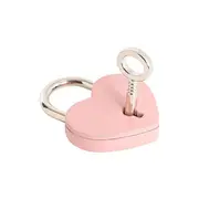Pink Heart Padlock with Key Love Shape Lock For Wishing Well Luggage Suitcase