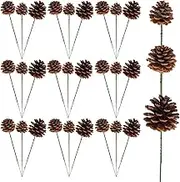 30 Pieces Christmas Natural Pine Cones Rustic Natural Pine Cone for Craft 3 Sizes Pinecones with Wired Pick Pinecones Ornaments for Christmas Tree Decoration Thanksgiving Fall Home Decor