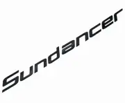 1Pc For SEA RAY SUNDANCER BOAT EMBLEM LOGO BADGE NEW BLACK LETTERS 24.25" long