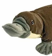 ~❤️~Wild Republic 18" 46cm PLATYPUS Plush Animal Soft Toy Life Sized BNWT~❤️~