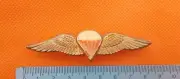 South Africa Paratrooper Para Jump Wing Prototype Badge