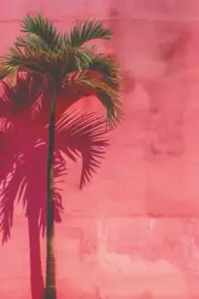 PINK PALM TREE POP ART CANVAS PRINT 16"X20" READY TO HANG T62