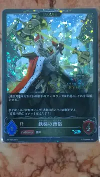 在飛比找露天拍賣優惠-【阿布拉雜貨】闇影詩章 Shadowverse EVOLVE