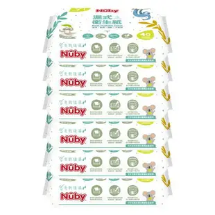 【Nuby】濕式衛生紙(40抽*6包/串)*健人館*