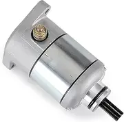 Starter Motor,Compatible With NES125 NES150 SH150 SH125 FES125 FES150 Pantheon PES150 PS150 PES125 PS125 SES125 SES150 Dylan