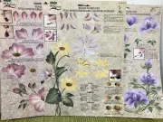 3 VTG Dewberry Painting Patterns Daisies Sweet Pea Rose Reusable Teaching Guides