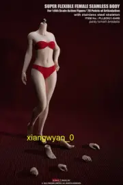 Phicen body TBLeague 1/6 Pale Seamless Female Body S46B Small Breast model stock