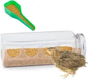 Quail Transparent Feeder Rutin Chicken Feed Box Chick Small Bird Seed Food Conta
