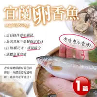 在飛比找鮮拾優惠-【築地一番鮮】宜蘭特選巨無霸XXL爆卵母香魚8盒(5尾/92