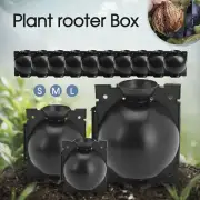5/20x Plant Rooting Device High Pressure Propagation Ball Root Grow Grafting Box