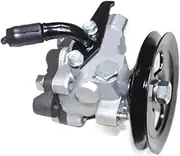 Power Steering Pump Compatible with Hyundai TERRACAN 2001 2002 2003 2004 2005 2006 57110H1000 57110-H1000