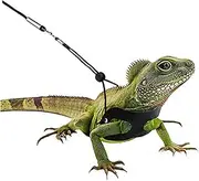 SEWOART Reptile Harness and Traction Rope for Lizards Lightweight Pet Chest Leash Without Wing Safe and Simulation Compact Design for Black Red